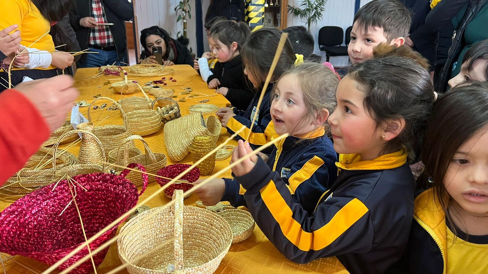 Taller de Cuelcha para escolares de Ninhue